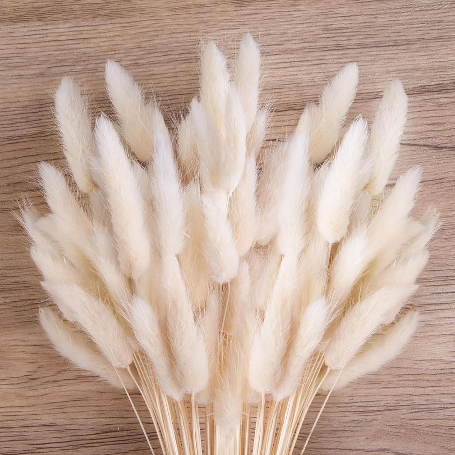 B-10c Tied Ribbons 50pc Natural Dried White Bunny-Tail Pampas Bouquet
